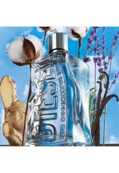D By Diesel Edt - Eau De Toilette - - -Magasin Général De Mode 64f55ae4423c4f1b8f5e37a1b65c8326