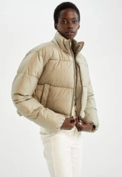 DeFacto Cropped Fit - Veste D'Hiver - Brown