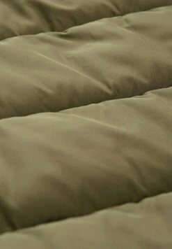 Tom Tailor Puffer Mit Kapuze - Manteau D'Hiver - Tree Moss Green 18 Tom Tailor Puffer Mit Kapuze - Manteau D'Hiver - Tree Moss Green -Magasin Général De Mode ed8d6ef5a89245739d0a008505a2862b